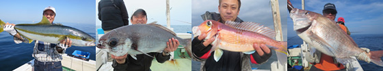 トップイメージ/京都府 舞鶴 釣り船『ブンブン丸』
